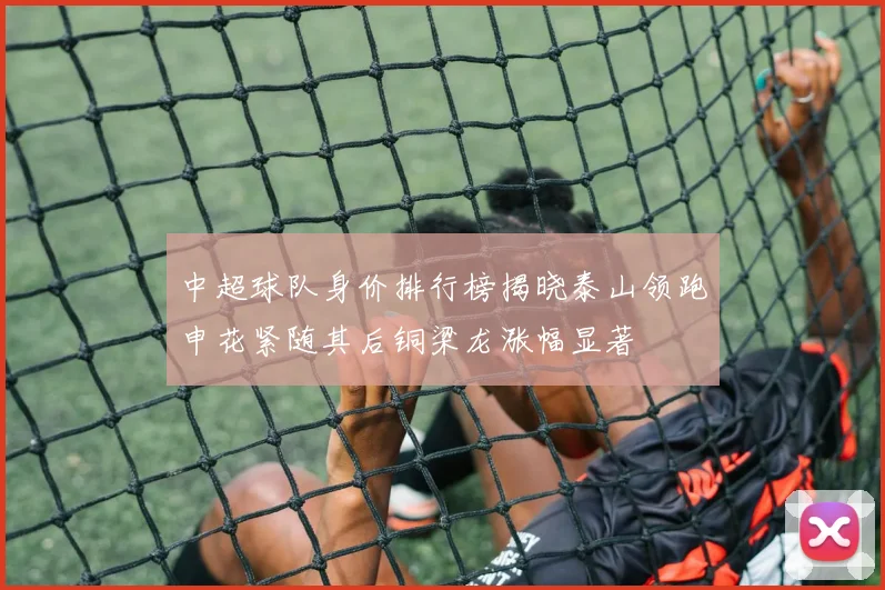 中超球队身价排行榜揭晓泰山领跑申花紧随其后铜梁龙涨幅显著
