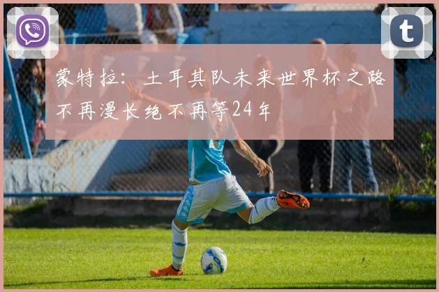 蒙特拉：土耳其队未来世界杯之路不再漫长绝不再等24年