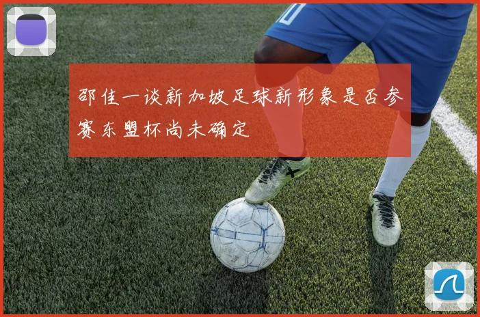 邵佳一谈新加坡足球新形象是否参赛东盟杯尚未确定